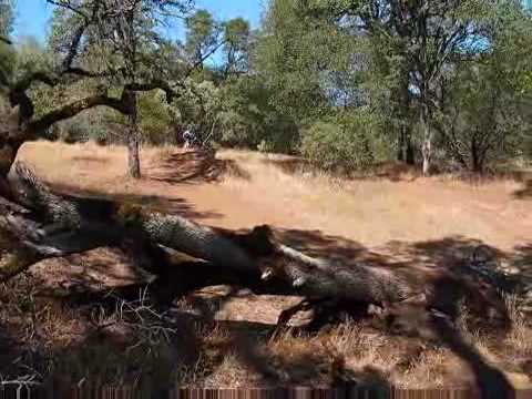 Trek Remedy Pro Review