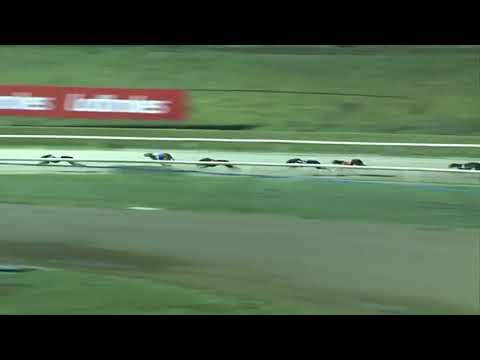 Zaha - BGBF St Leger Final