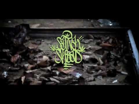 Sativa Skład- Odważ się żyć odważnie (Oficjalny teledysk)