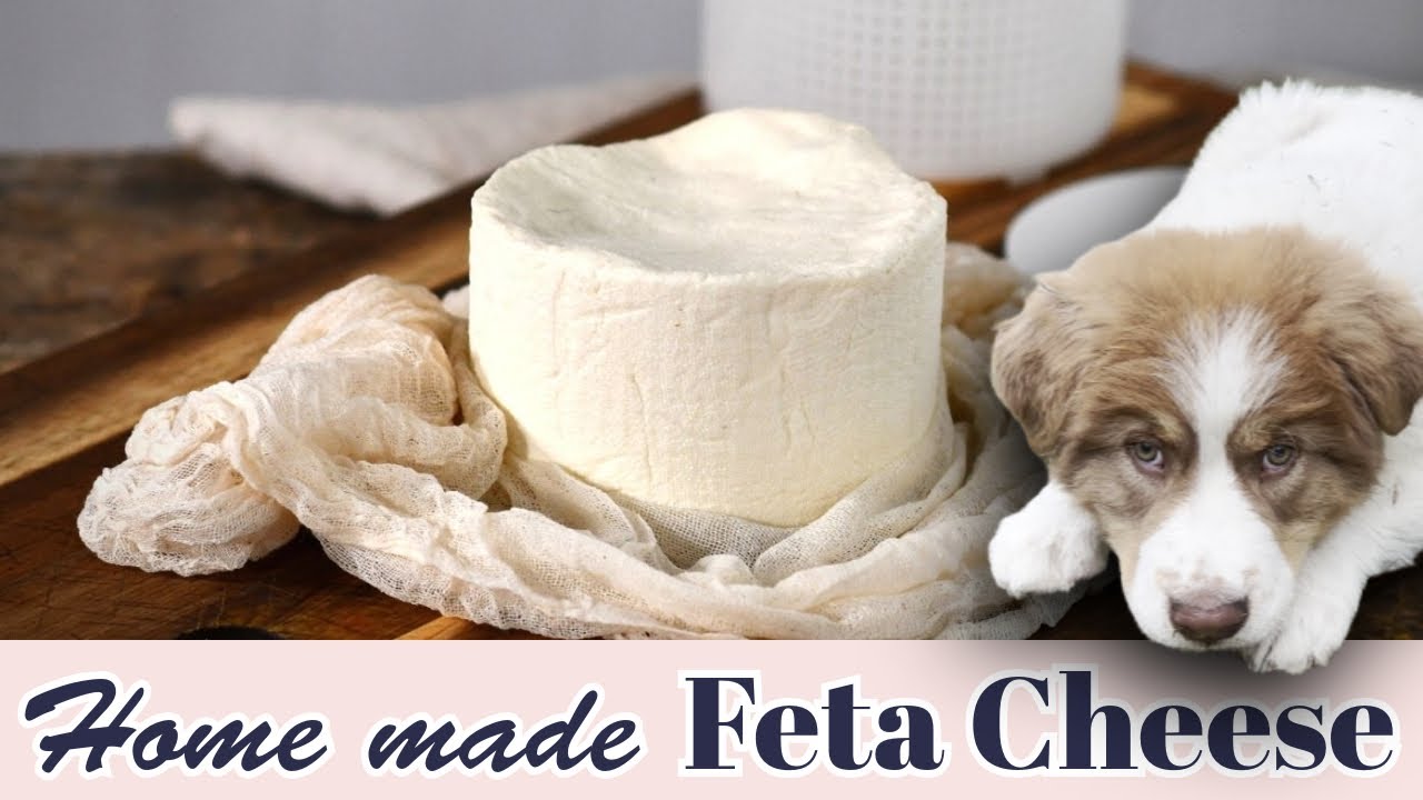 Feta tutorial