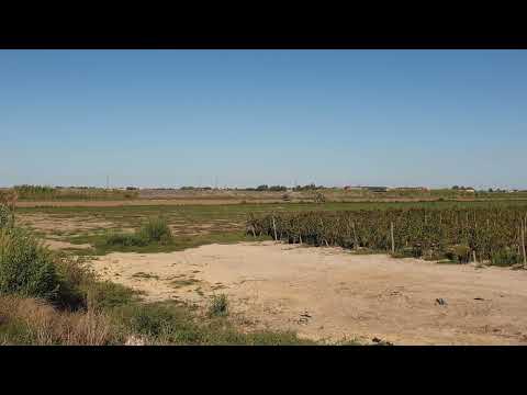 Comboio n.º 31305/4 - Morgado