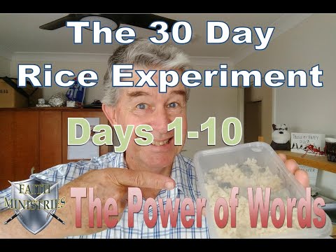 The 30 Day Rice Experiment. Days 1-10 - The Power of Words