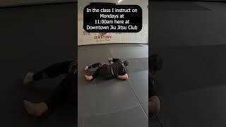 What is Budokon Mobility?
