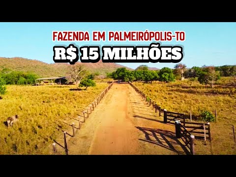 💰 BAIXOU o Preço! Fazenda de 1423 HA em Palmeirópolis TO — Pronta para Produzir!