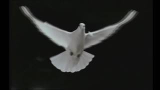 The Sisters of Mercy - Temple of Love (Official Music Video with lyrics)