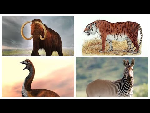 Top Extinct Animals Being Brought Back To Life