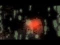 Shadow - Brian Eno Music Video