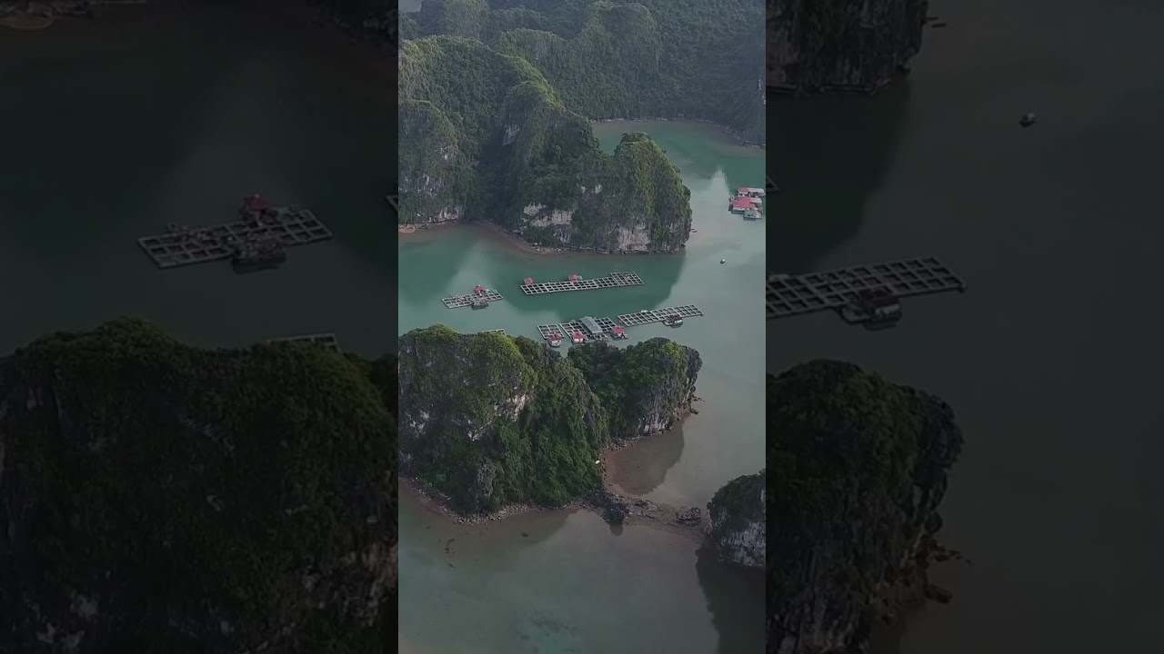 YouTube Short thumbnail