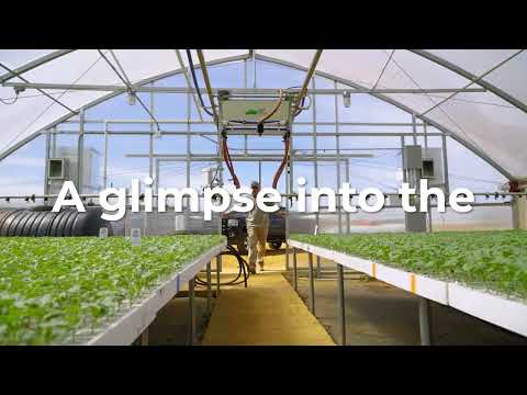 ROOTS: Stories behind the people that help feed the world.