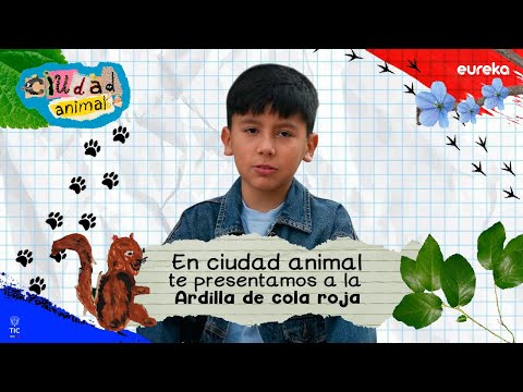 La ardilla de cola roja, el animal favorito de Daniel