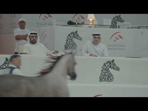 اليوم الثاني من مهرجان الشارقة الدولي الرابع والعشرون للجواد العربي