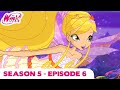 Winx Club Season 5 Episode 6 