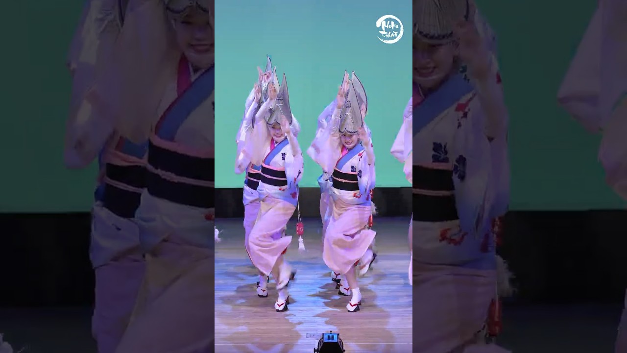 天水連 はなはるフェスタまだかなぁ #阿波おどり#阿波踊り#阿波舞