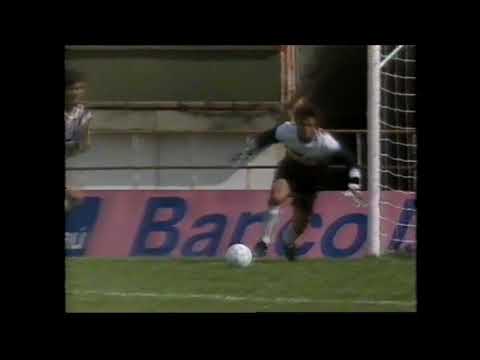 Atlético-MG 2 x 3 Palmeiras - Campeonato Brasileiro 1993