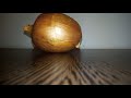 Cover of John Cage's 4:33 Four minutes, thirty three seconds played on an Onion.