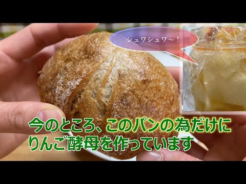 "Campaña de levadura de manzana" elaborada con levadura natural casera de Panpao [levadura de manzana]