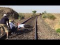 Daya Hits by Train Must Watch | Latest Video