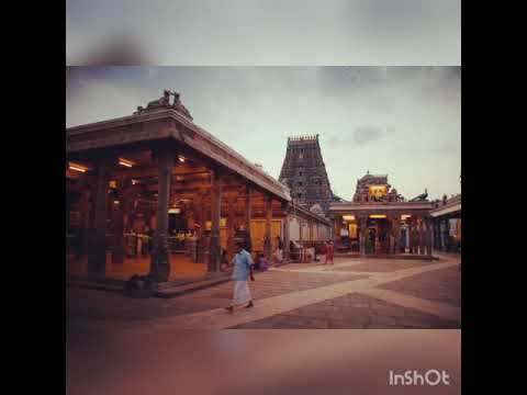 Thillana | Raaga Kaapi |  Composed by Shri Madurai T Srinivasan