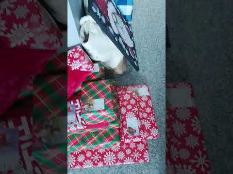 Christmas Wrapping Final Update!