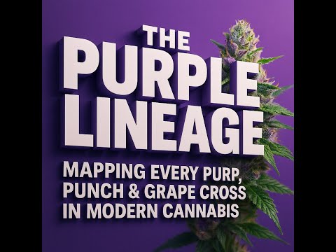 THE PURPLE LINEAGE: FROM AFGHAN ROOTS TO GDP ROYALTY 💜🌿MAPPING EVERY PURP, PUNCH, GRAPE CROSS.