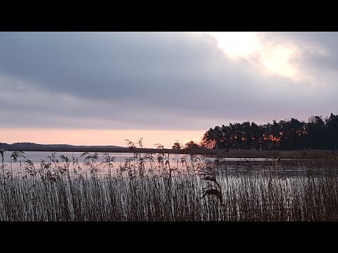 Släpp kontrollen så öppnar du kanalen till livets flöde.