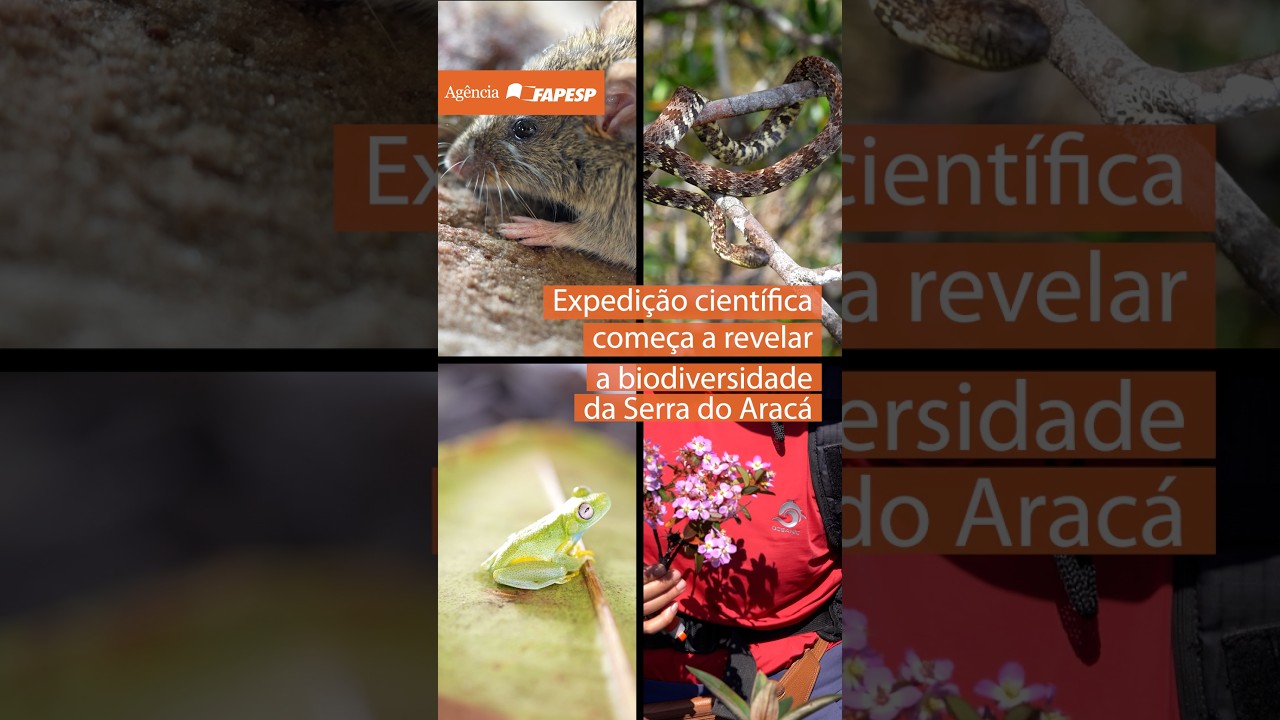 Expedição científica começa a revelar a biodiversidade da Serra do Aracá