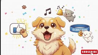 PLANEJAMENTO FINANCEIRO: COMO ORGANIZAR SUAS FINANÇAS E GUARDAR DINHEIRO PRIMO DOGUINHO!