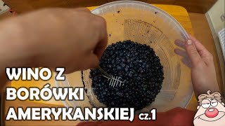 Wino z Borówki Amerykańskiej - przepis cz.1