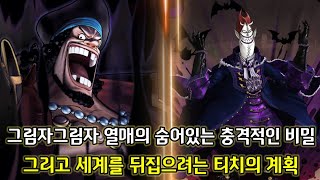 [원피스 분석]그림자그림자 열매의 숨어있는 충격적인 비밀 그리고 세계를 뒤집으려는 티치의 계획
