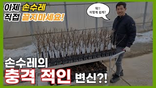 모르면 손해인 농기계 ( 100키로도 쉽게 운반이 가능한 농업용 손수레 )