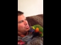 Rainbow Lorikeet 'Lyndsay' giving a Dean welcome home loud