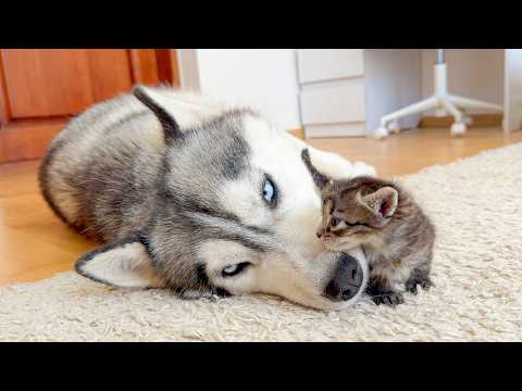 YouTube 썸네일