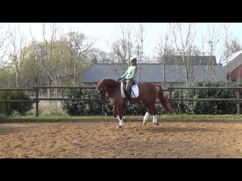 L'Espoir geb. 2010 April 2015