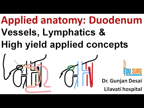 Duodenum Applied Anatomy: Blood Supply, Lymphatics, Clinical Syndromes explained