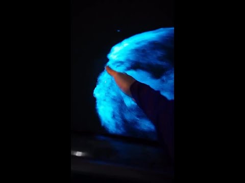 Clear kayak tours through the Florida bio from May-September should be TOP of your list 🛶🤩