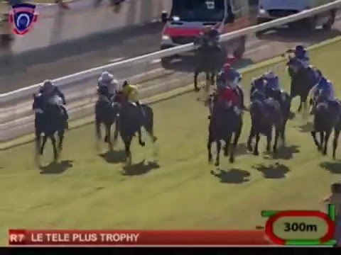 PFK champion stable 2014