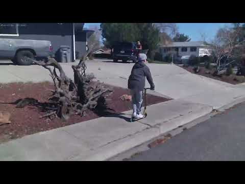 free stylin on a schooter#shorts