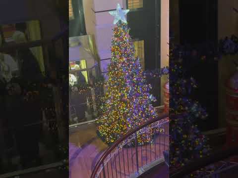 Thumbnail for Tree lighting on Carnival Breeze