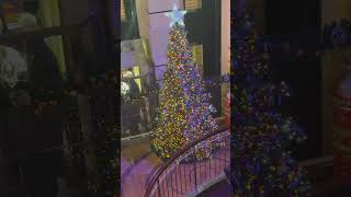 Tree lighting on Carnival Breeze
