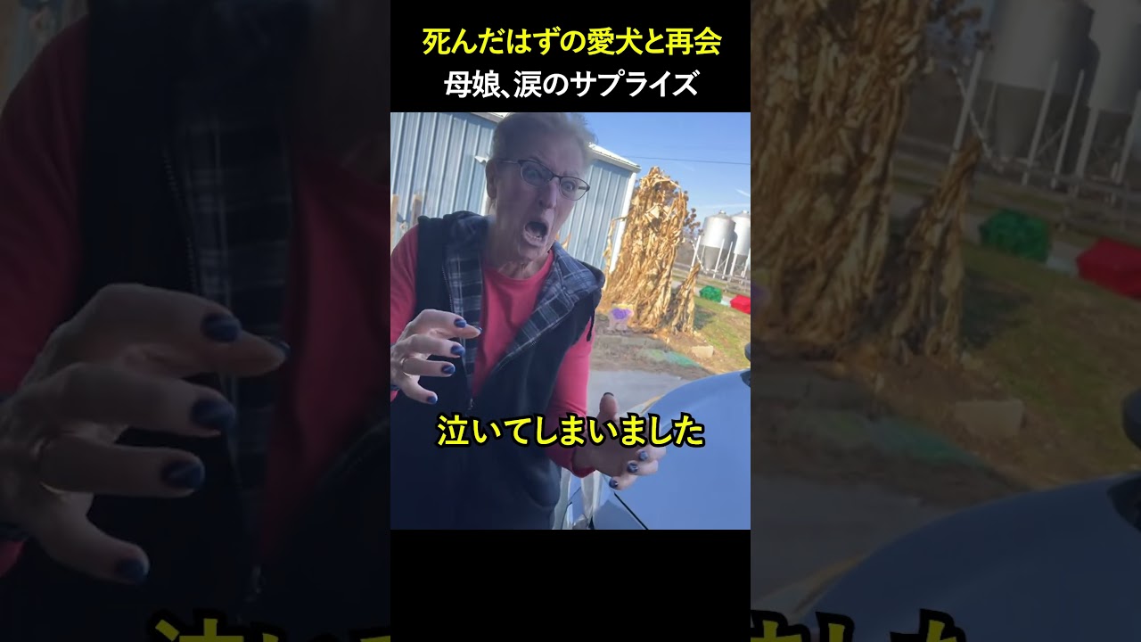 死んだはずの愛犬と再会 母娘、涙のサプライズ