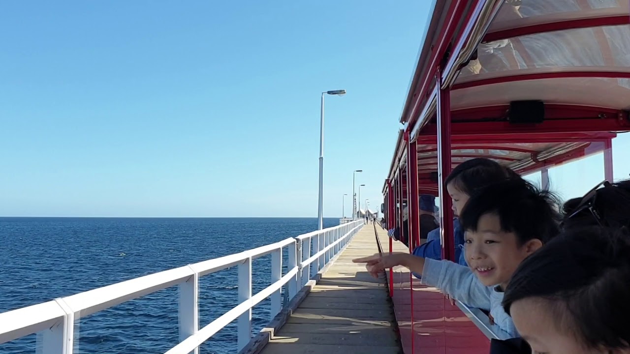 Full Journey of the Famous Busselton Jetty Train to Underwater Observatory Western Australia