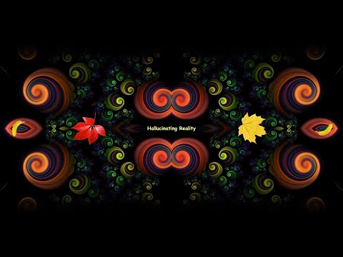 Hallucinating Reality (360)