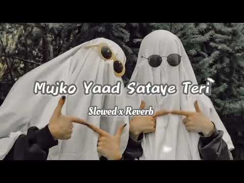 Mujko Yaad Sataye Teri (Slowed x Reverb) 