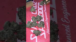 Gary Berry by Fifty Fold (Gary Payton x SuperBOOF)