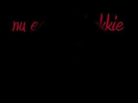 gangsters van hattemerbroek