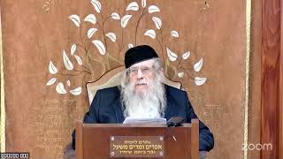 הרה"ג הרב וועכטר שליט"א א' ניסן תשפ"ה - מאמר הרבי הריי"צ תרצ"ד ד"ה אור לארבע עשר חלק ד (הרב אברהם מנחם מענדל וכטר) - התמונה מוצגת ישירות מתוך אתר האינטרנט יוטיוב. זכויות היוצרים בתמונה שייכות ליוצרה. קישור קרדיט למקור התוכן נמצא בתוך דף הסרטון