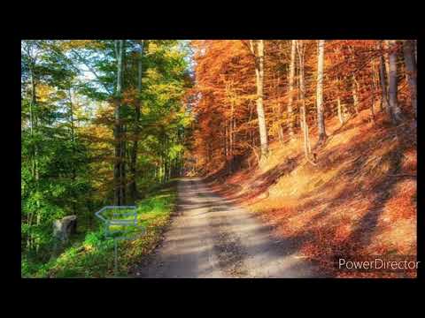 ORK ROMSKI PERLI KAIRIK TE JAV