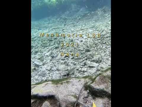 Menamuria 2021 NANA