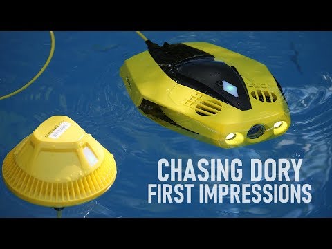 Povandeninins dronas Chasing Dory video