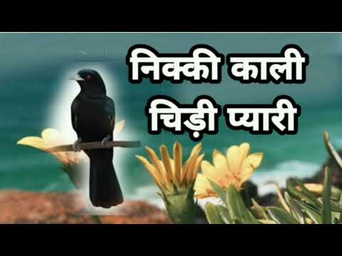 Dogri Rhymes
